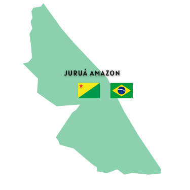 Map of the state of Acre (Brazil) with the Amazonian Juruá area marked