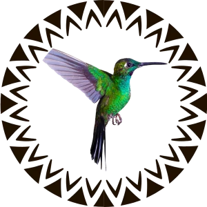 Colibrí dentro de un círculo con motivos geométricos indígenas