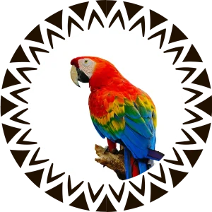 Guacamayo rojo dentro de un círculo con motivos geométricos indígenas