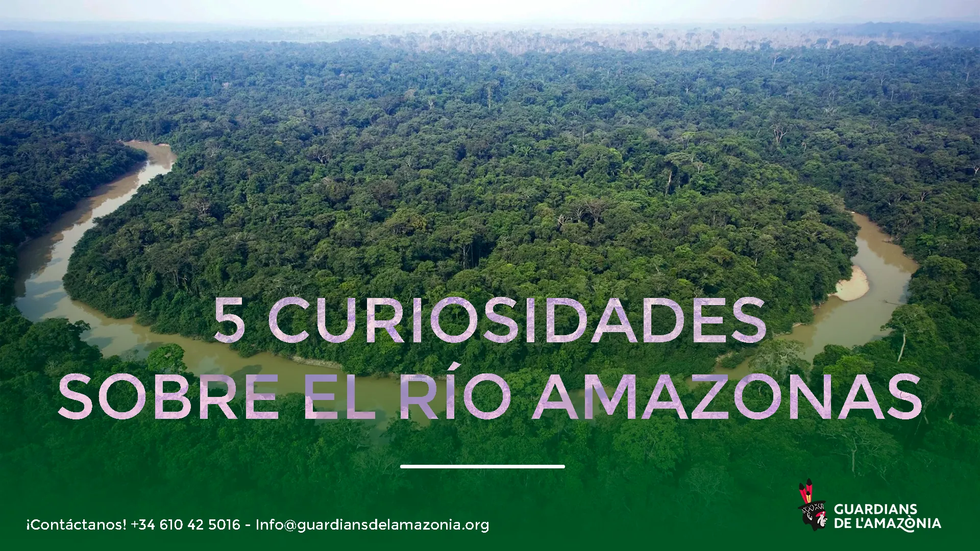 Luftaufnahme des von dem Fluss durchzogenen Amazonas-Regenwaldes mit dem Text „5 curiosidades sobre el río Amazonas“ und den Kontaktdaten von Guardians de l’Amazònia