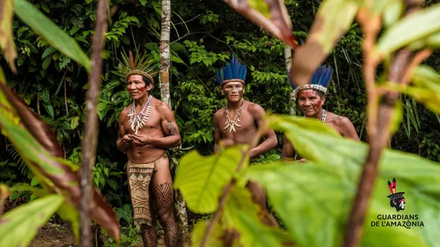 Tres homes indígenes amb tocats de plomes i collarets enmig de la vegetació de la selva